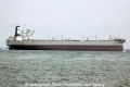G Whale (MS-110412-53).jpg