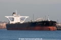 DS Commander (MM-040814-1).jpg
