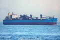 Goan Pride (MS-141008-08).jpg