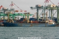 Deryoung Sunrise OS-250307-01.jpg