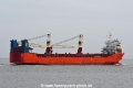 Global Carrier JG-201220-04.jpg