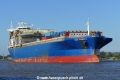 Star Harmonia (OK-030915-1).jpg