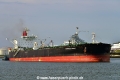 Caribbean Loyalty (KB-D060624-01).jpg