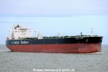 Delta Aigaion SH-100722-01.jpg