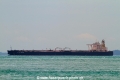 Dalian Venture (MM-190212-1).jpg