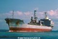 Helvetia (K230502-MS).jpg