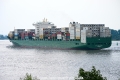 Amazonas Trader 240615-11.jpg