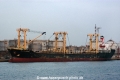 Elite Grace OS-250307-01.jpg