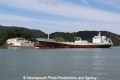 Ouro do Brasil RV-161012-06.jpg