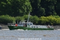 Reiher 020620.jpg