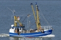 Solea DOR9 (KK-070916-0).jpg
