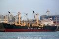 Dong Son OS-250307-02.jpg