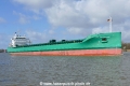 Arklow Willow (OK-100426-0).jpg