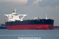 DHT China OS-051022-01.jpg