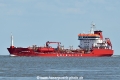 Amaranth HK-150622-1.jpg