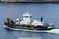 Samba (OK-110517-1).jpg