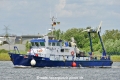 DMC Sailor (OK-030625-0).jpg