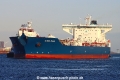 Altera Thule TL-100824-2.jpg