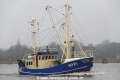 Rungholt SD21 (OK-090112-0).jpg