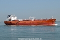Aliai OS-240626-04.jpg