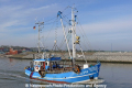 Seestern (MB-140411-2).jpg