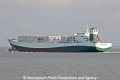 Premium do Brasil JG-030808-02.jpg