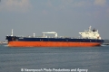 Amorea (JS-030911-04).jpg