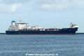 Altera Wind (MB-180723-1).jpg