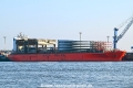 Saga Morus OS-310824-01.jpg