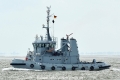 Scharhoern HK-280515.jpg