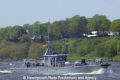 Seehund 12 (090502-1).jpg
