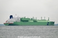 BW Enn Snow Lotus OS-041022-27.jpg