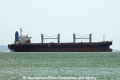 African Sun OS-151010-06.jpg