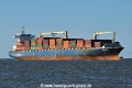 Andino HK-310320-1.jpg