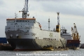 Celestine (KB-D261111-04).jpg