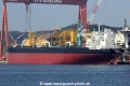 DHT Puma (MS-060816-12).jpg
