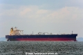 Diamond Warrior (MM-160813-1).jpg