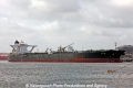 DHT Ann (MM-160613-1).jpg