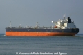 Amorea (JS-030911-20).jpg