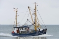 Paloma GRE29 (OK-300621-1).jpg