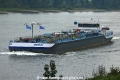 Dolfijn TL-081015-3.jpg