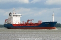 Amarant TL-080715-1.jpg