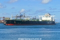 Delta Amazon (MB-250722-3).jpg