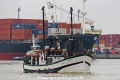 Mericia RV-100812-01.jpg