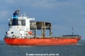 Saga Spray SH-280821-02.jpg