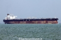 Spyros K (MS-040416-07).jpg