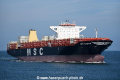 MSC Sasha OS-160816-06.jpg