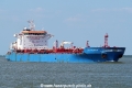 Lisca Nera M SH-190523-01.jpg