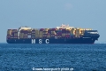 MSC Michela OS-011125-02.jpg