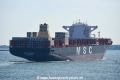 MSC Sasha OS-160816-24.jpg